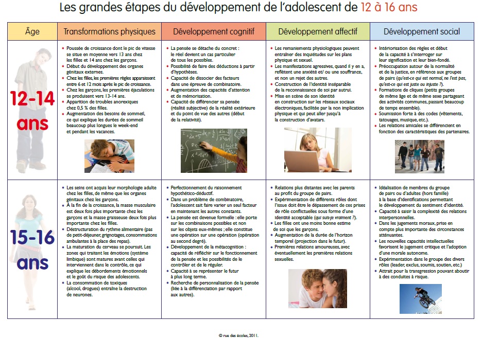 Etapes developpement 12a16 ans